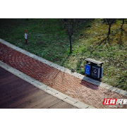 莲城小景丨冬日暖阳正好