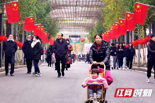 盘龙大观园道路两侧插满国旗，给元宵佳节增添了浓烈的家国情怀。.jpg
