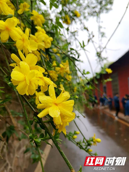 微信图片_20220317121104.jpg