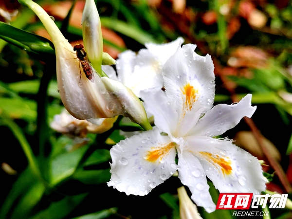 微信图片_20220317121055.jpg