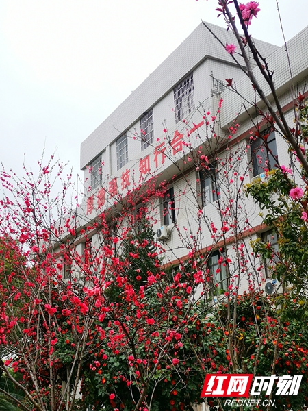 微信图片_20220317121039.jpg