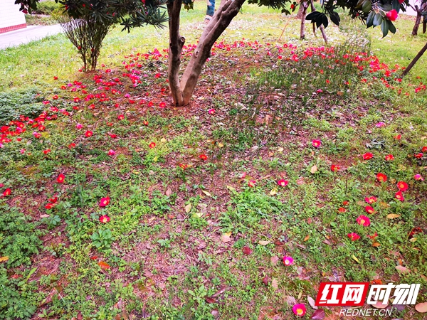 微信图片_20220317124143.jpg