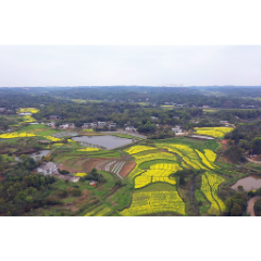 湘潭县：耕地抛荒治理让“沉睡”耕地焕发新生机