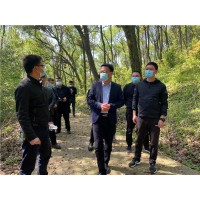 湘潭县开展清明期间巡林和安全生产检查