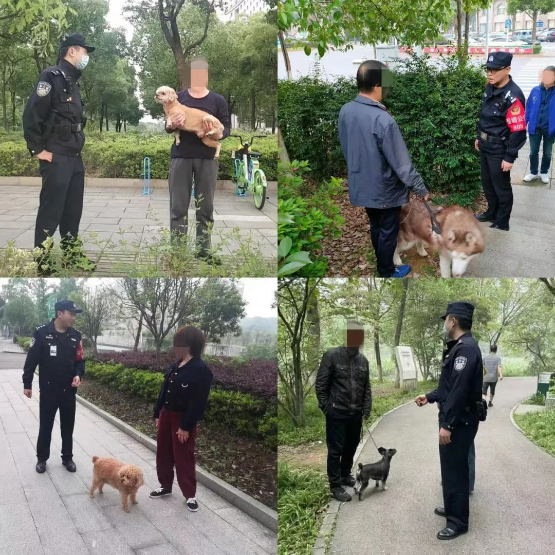岳塘公安全面掀起“整治风暴” 向不文明养犬行为说“不”