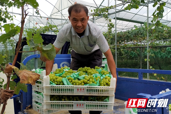 微信图片_20220531110842_副本.jpg 微信图片_20220531110842_副本.jpg