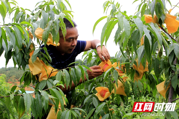 微信图片_20220531110900.jpg 微信图片_20220531110900.jpg