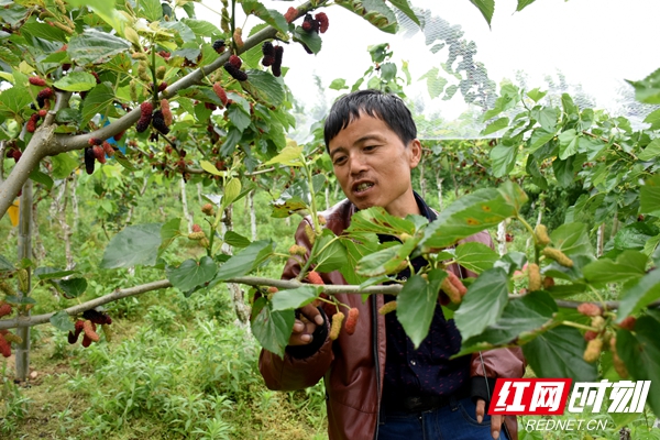 DSC_6336_副本.jpg DSC_6336_副本.jpg