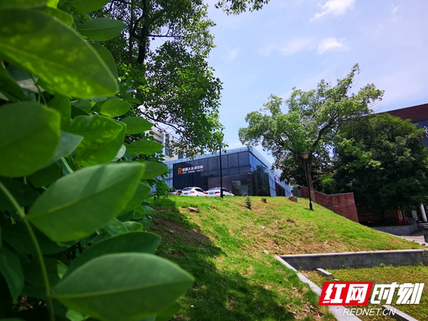 夏阳中的机器人实训中心。.jpg