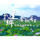 视频 | 湘潭县委书记黄劲松热忱邀请：毓秀莲乡  香飘万里  莲乡等你来