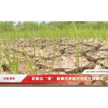 红视频·新闻播报丨积极应“烤” 湘潭市多措并举抗旱保灌