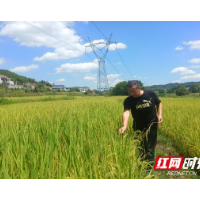 湘乡市潭桥村志愿服务队疏通灌溉水脉 为干旱农田“解渴”