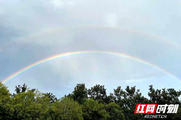 摄影 向紫堇.jpg