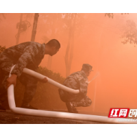 组图丨炼队伍 防未然 湘潭市开展林火灾应急指挥实战演练