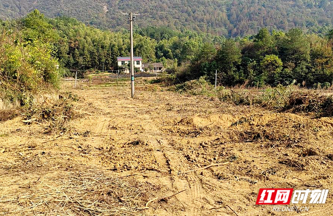 图片1.jpg 图片1.jpg