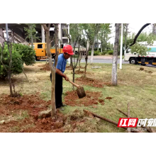 优化营商环境丨湘潭市城管园林部门积极履职，助力企业解困