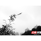 组图丨初春里的水墨湖湘