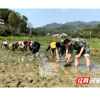 韶山市湘韶村：党建引领抓“三量” 集体经济攀新高