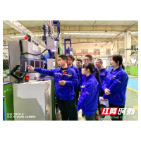 两新“湘”当红丨金杯电工党总支管理三支部：支部担当铸精品  品质提升亮品牌