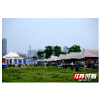 岳塘区首届露营节精彩不重样（图）