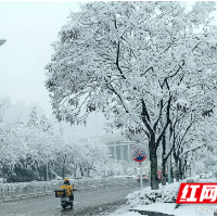 年味·组图丨2024年湘潭的第一场雪有多美？