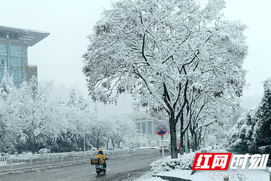 组图丨2024年湘潭的第一场雪有多美？