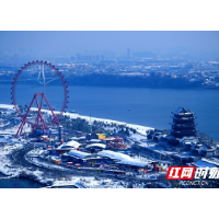 年味·组图丨雪后莲城