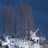 年味·视频丨莲城雪后初霁