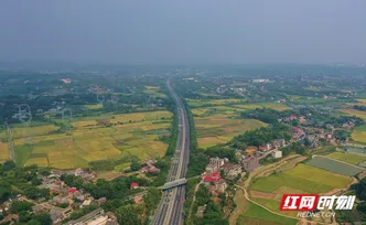 组图 | 湘潭：高速公路穿梭稻田间 秋色绚烂风景如画