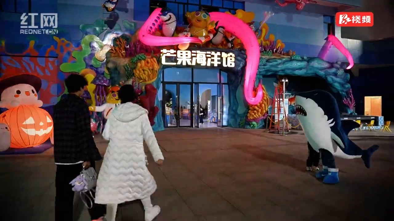 与企鹅一起玩转海洋世界