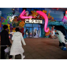 视频 | 周末遛娃到万楼 与企鹅一起玩转海洋世界