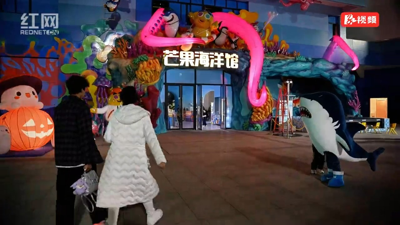 视频 | 周末遛娃到万楼 与企鹅一起玩转海洋世界