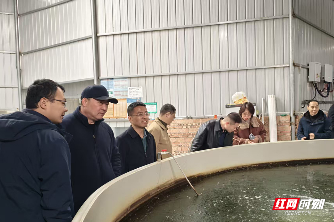 组团送服务 集智促发展 湘潭市农业科技特派员赋能乡村产业振兴