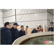 组团送服务 集智促发展 湘潭市农业科技特派员赋能乡村产业振兴