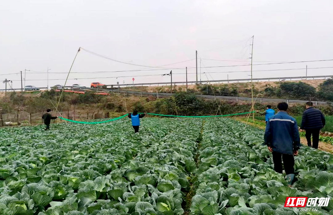 图片2.png 图片2.png