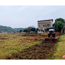 雨湖区鹤岭镇多措并举保护耕地 保障粮食安全生产