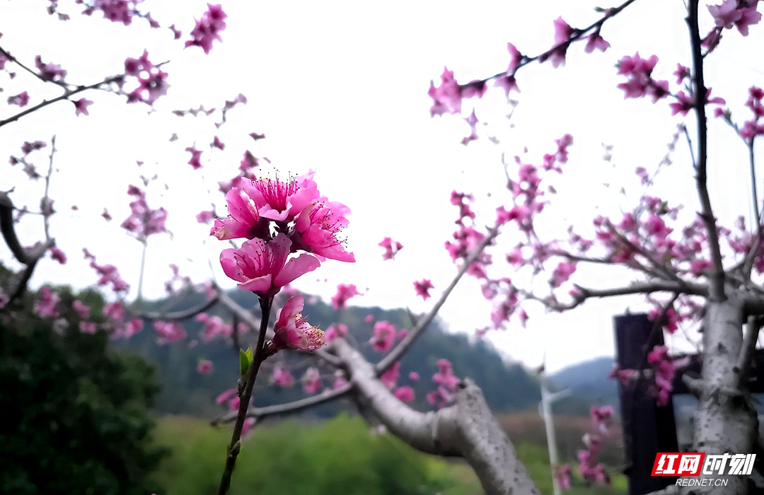 20250323_120413_副本.jpg