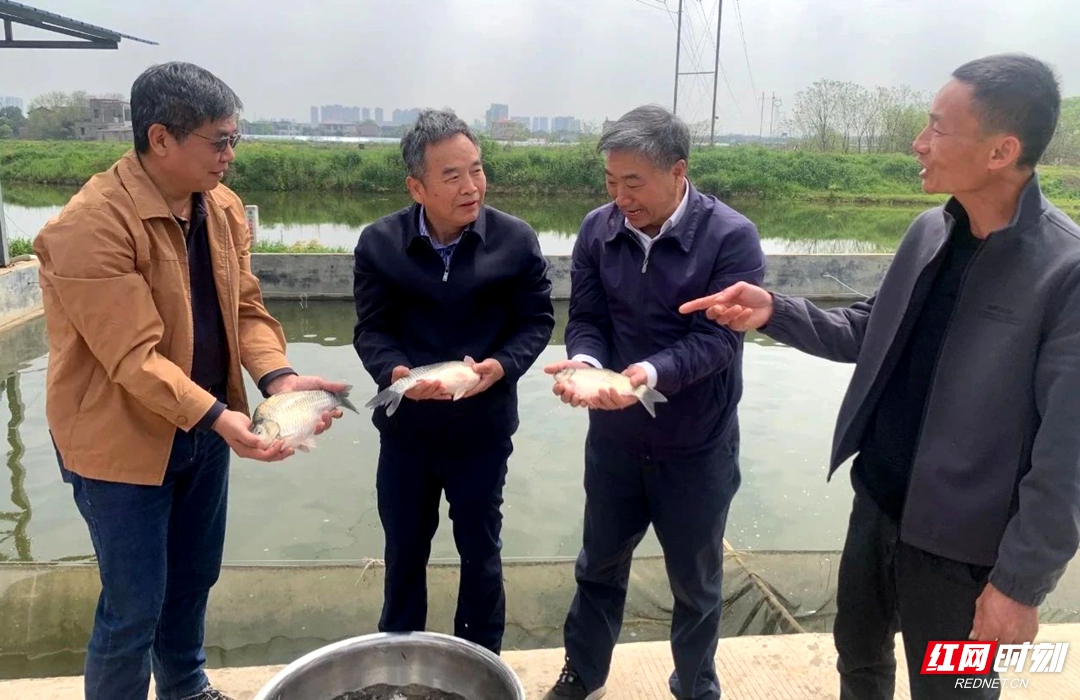 微信图片_20250406152422.jpg