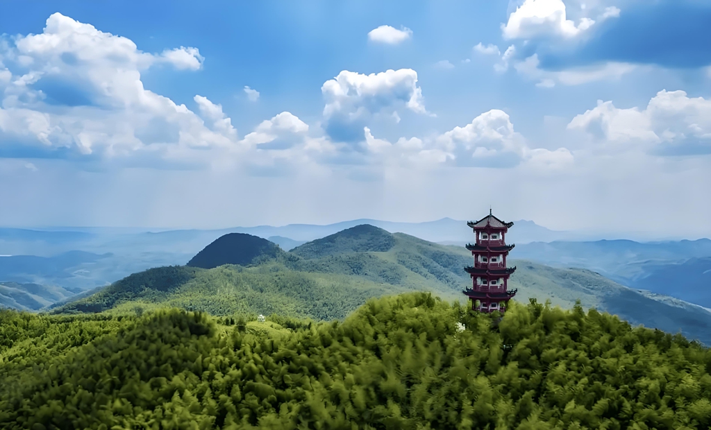 蔡伦竹海_副本.jpg
