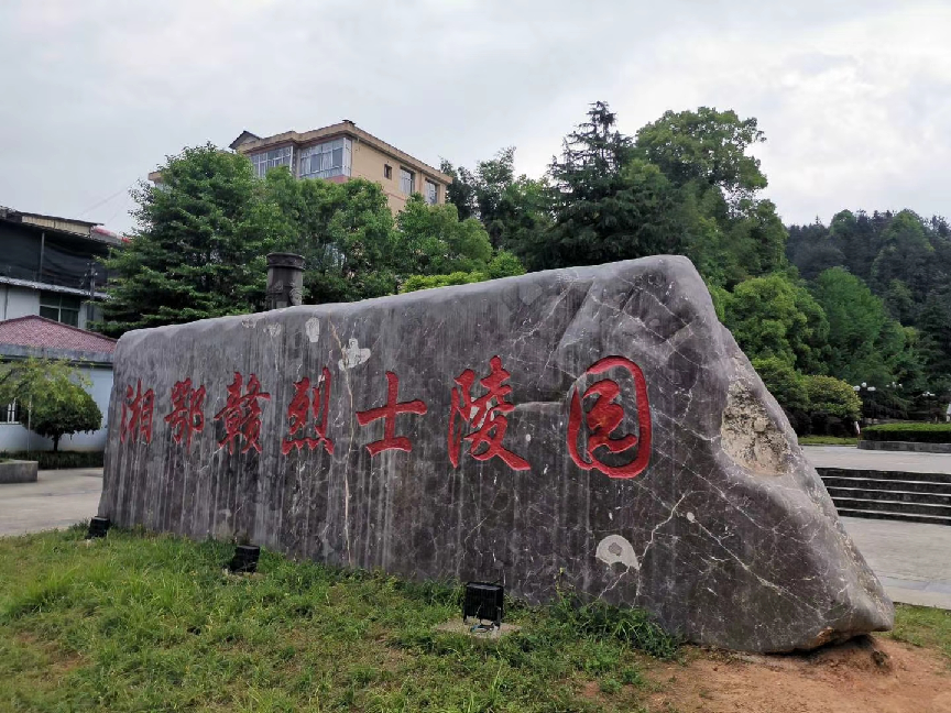 图片11.png