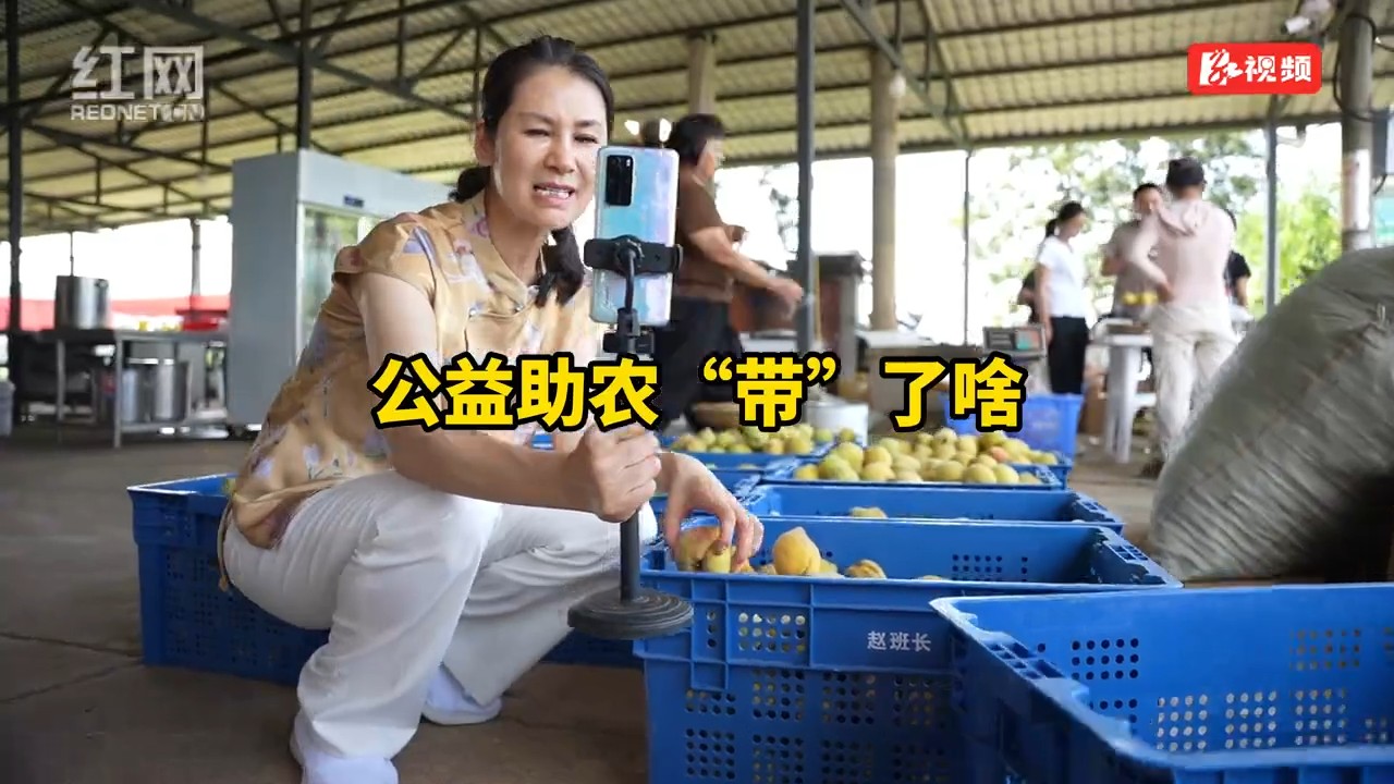 12名网红鹅婆山“组团出道”