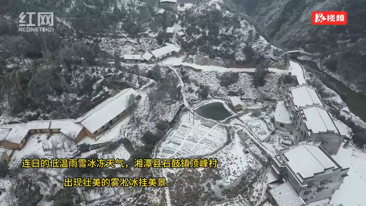 湘潭县雾凇冰挂美景