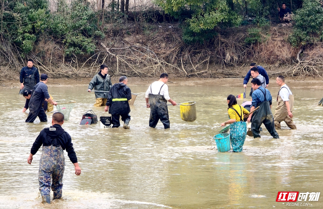 抓鱼.jpg 抓鱼.jpg