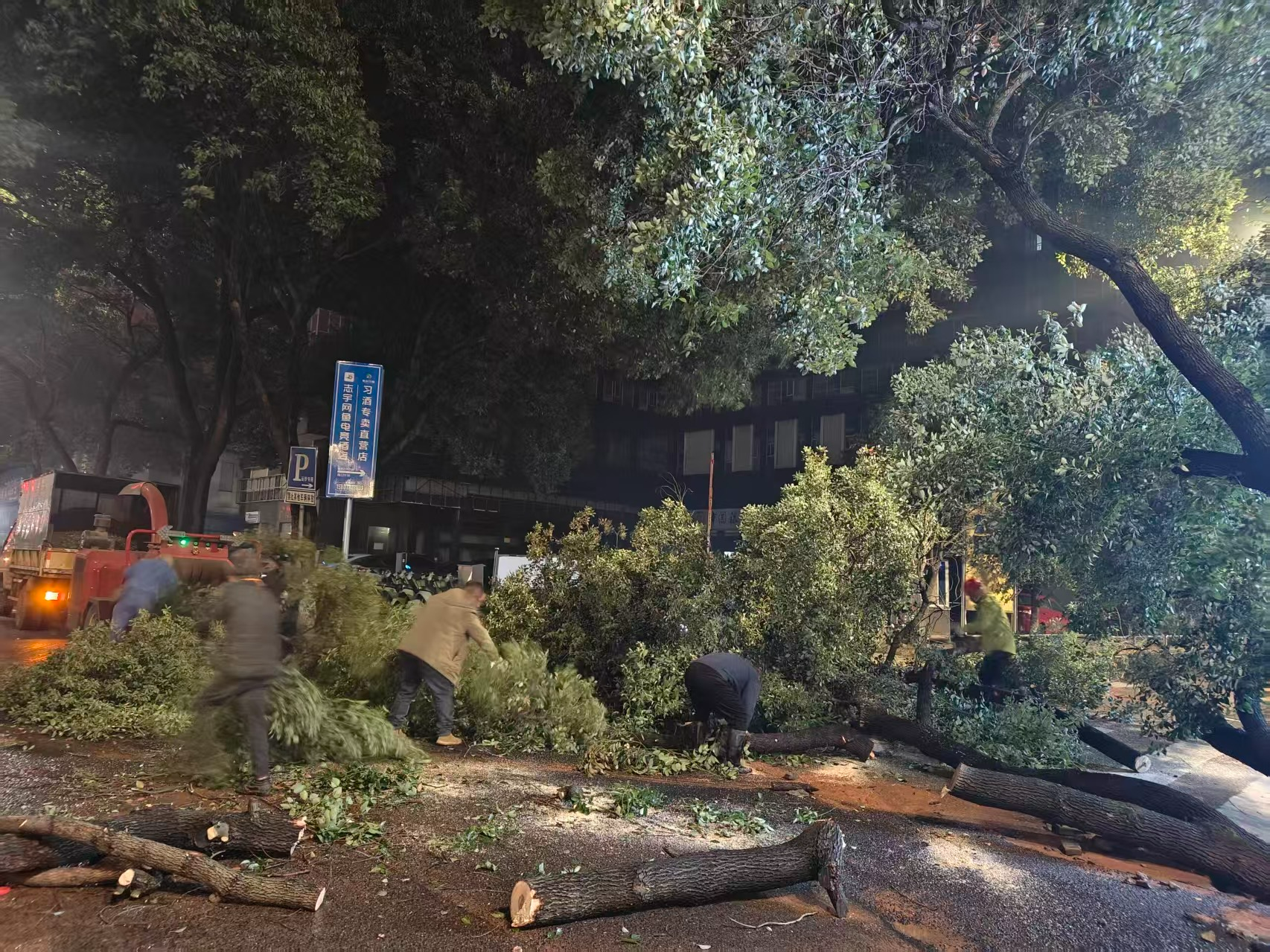 水管爆裂导致大树倒伏 湘潭城管园林部门除夕夜冒雨奋战排险