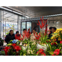 新春走基层 | 市民购花迎新春 岳塘花卉市场人气旺
