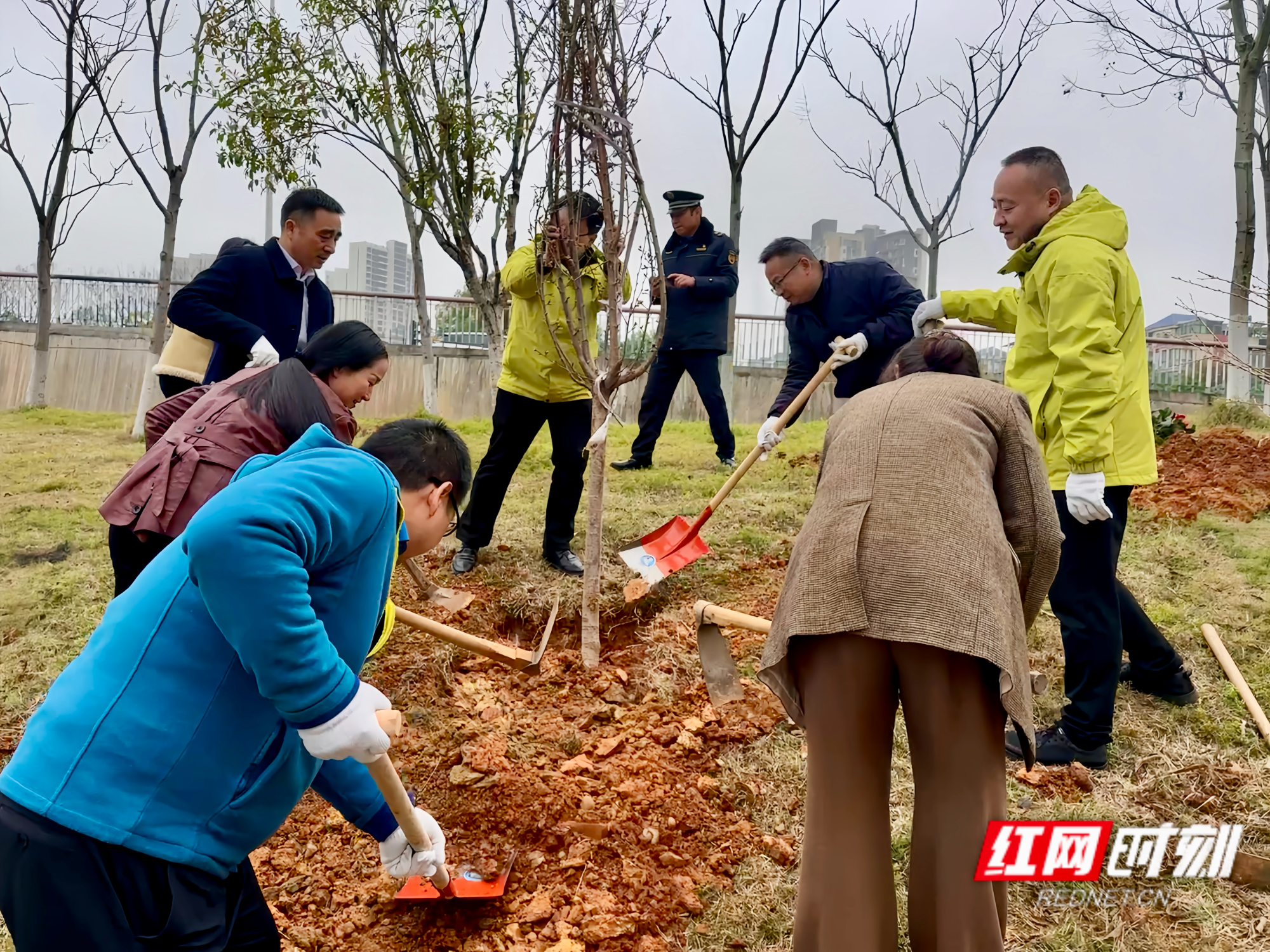 视频丨湘潭市150余名志愿者挥锹添新绿