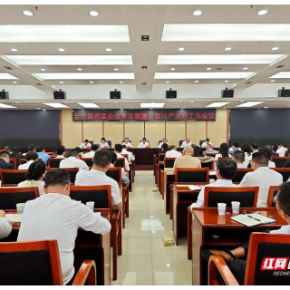 “十五五”开局之年 湘潭国资国企改革发展亮出“七条硬招”