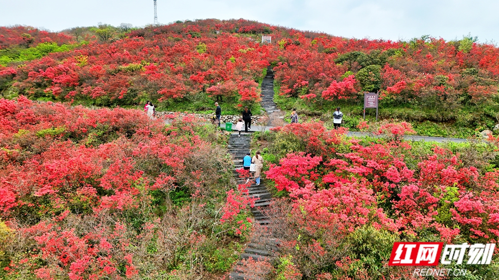 阳明山_副本.jpg