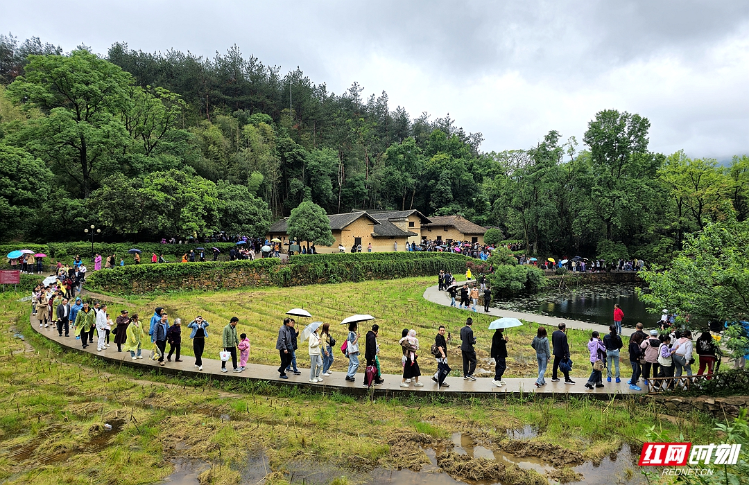 韶山冲游人如织。.jpg 韶山冲游人如织。.jpg