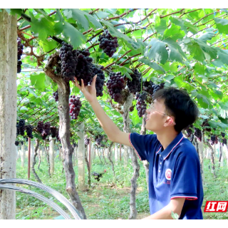 湘潭理工学院学子调研银田村